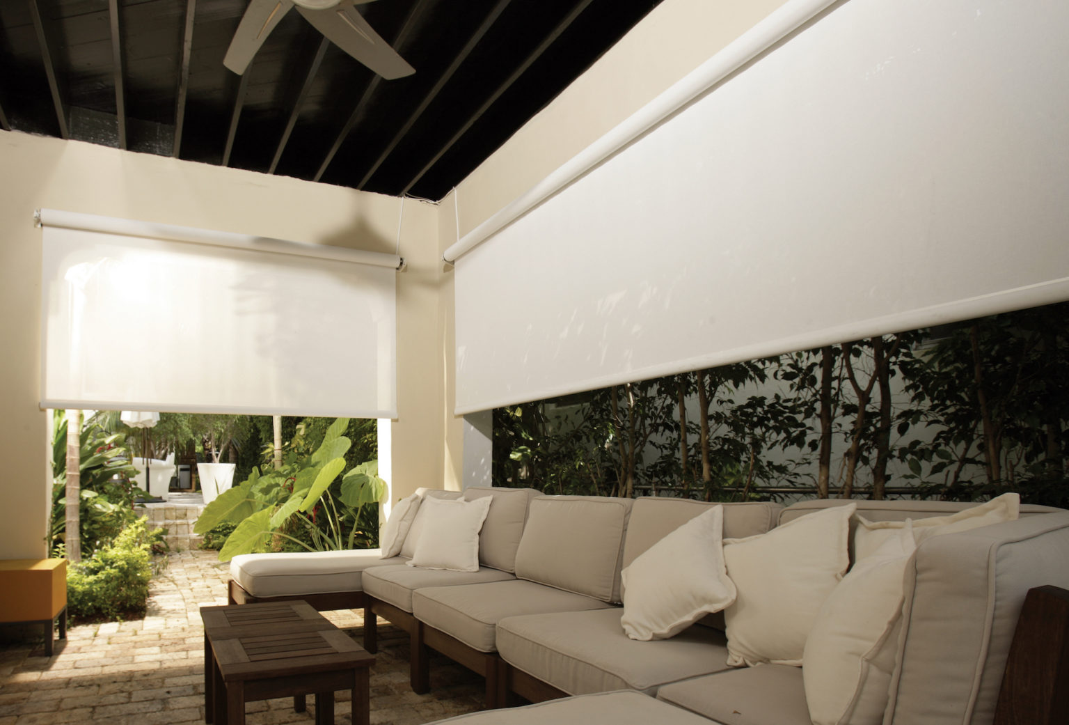 toldo vertical.jpg